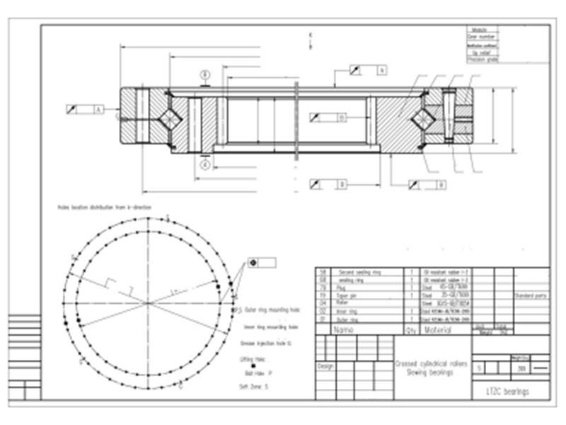 Custom Slew Bearings Engineering Design